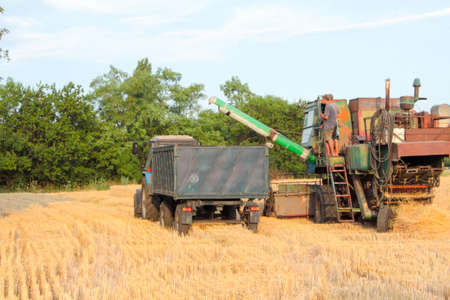 Tractor pulls up for loading to the combine with wheatの写真素材