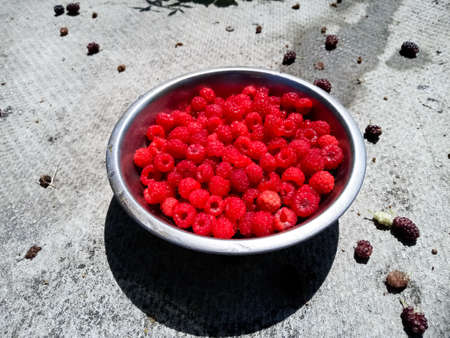 Red raspberries in a metal bowl filled with water, in a bowl without water, in a bowl sprinkled with sugar in a bowl filled with creamの写真素材
