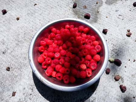 Red raspberries in a metal bowl filled with water, in a bowl without water, in a bowl sprinkled with sugar in a bowl filled with creamの写真素材