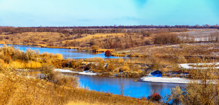 Water landscapes overgrown with weeds around the banks of Ukraineの写真素材