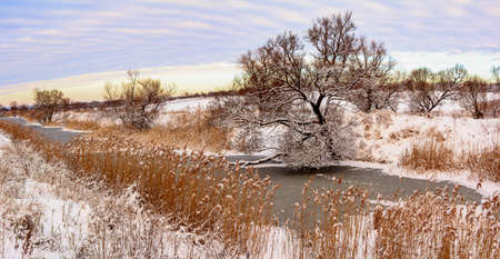 Sunday winter morning in countryside Ukraineの写真素材