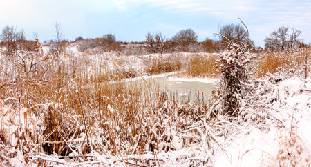 Sunday winter morning in countryside Ukraineの写真素材