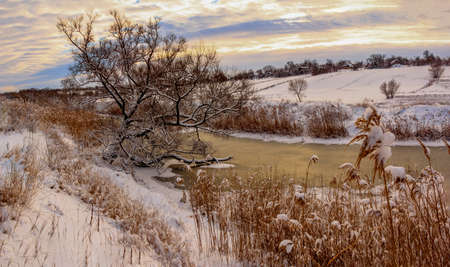 Sunday winter morning in countryside Ukraineの写真素材