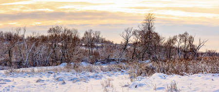Sunday winter morning in countryside Ukraineの写真素材