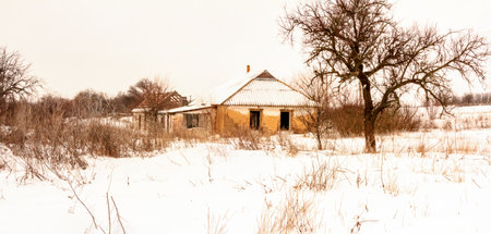Cloudy winter december day Ukraineの写真素材