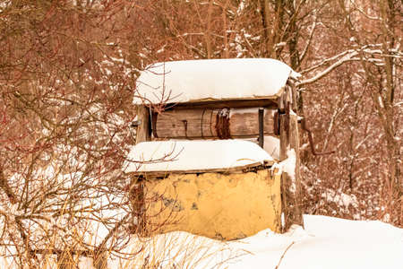 Cloudy winter december day Ukraineの写真素材