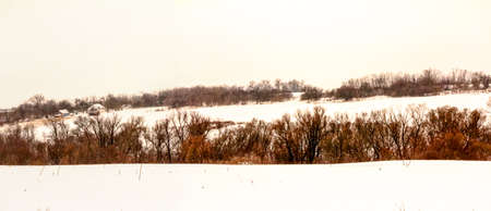 Cloudy winter december day Ukraineの写真素材