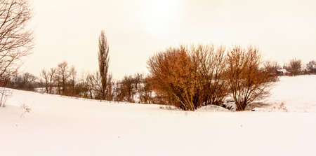 Cloudy winter december day Ukraineの写真素材