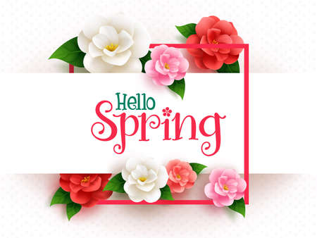 Spring flowers vector template design. Hello spring greeting text with camellia flower in red, pink and white colors for floral bloom season decoration. Vector illustration.のイラスト素材