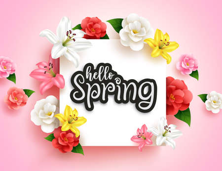 Spring greeting vector template design. Hello spring typography text in white space with camellia and lily nature flowers for celebration of bloom season card decoration. Vector illustration.のイラスト素材