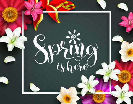 Spring flowers vector template background. Spring typography text in white frame with lily and daisy...