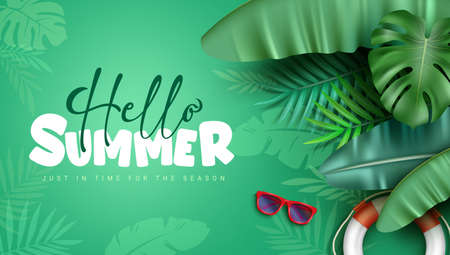 Summer nature vector background design. Hello summer text in green space with leaves decoration and plants silhouette pattern for tropical season greeting messages. Vector illustration.のイラスト素材