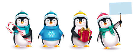 Christmas penguin characters vector set. 3d penguin character with hat, sweater, placard and gift elements isolated in white background for xmas collection design.のイラスト素材