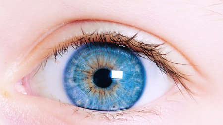 A close-up of an eye with blue iris. The pupil is visible through the pupil.