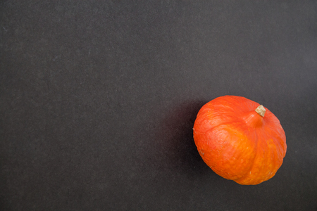 Orange pumpkin laying on dark surface with copy space, background conceptの写真素材