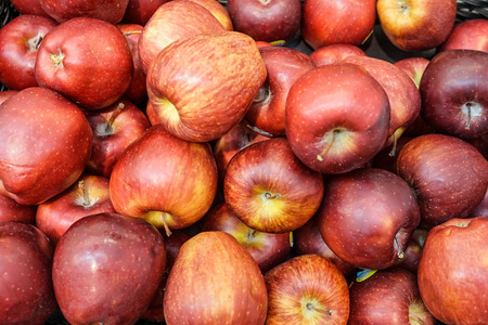 Red appleの写真素材