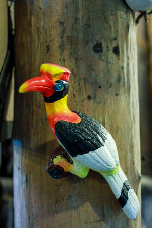 Hornbill の写真素材