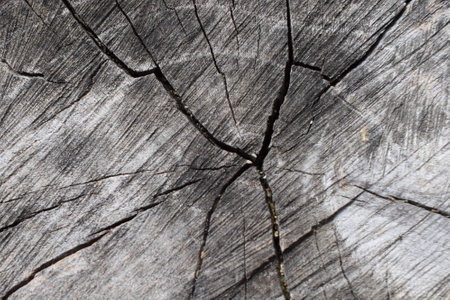 textureの写真素材