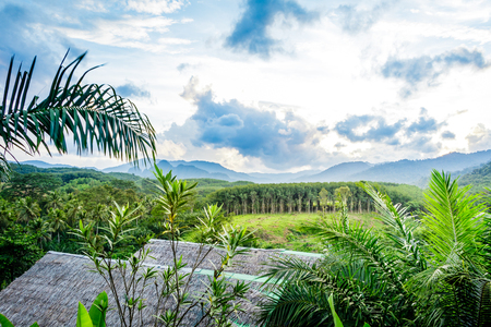 Mountain scenery with tropical rain forest in the background and bamboo tents in the foreground during a sunny day at Ratchaprapha Dam at Khao Sok National Park, Surat Thani Province, Thailandの写真素材