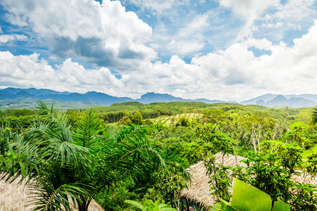 Mountain scenery with tropical rain forest in the background and bamboo tents in the foreground during a sunny day at Ratchaprapha Dam at Khao Sok National Park, Surat Thani Province, Thailandの写真素材