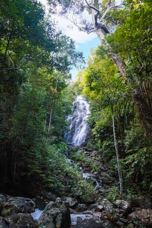 Huge waterfall in a tropical jungle forest, Phaeng Waterfall, Koh Phangan, Thailandの写真素材