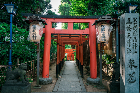 Red Japanese Torii pillars surrounded by trees in Ueno Park, Tokyo, Japanのeditorial素材