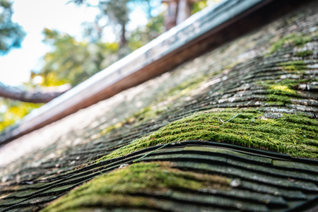 Old wooden temple roof with green moss all over it in Ryoanji Temple, Kyoto, Japanの写真素材