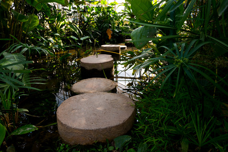 Brick bridge into swampの写真素材