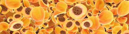 juicy yellow peaches as background 3D illustration