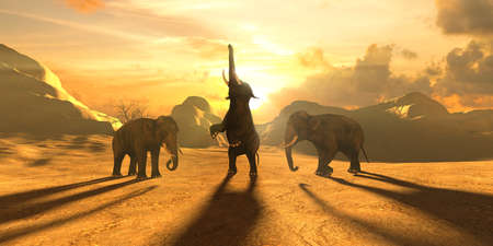 elephants on a background of sunset and a beautiful yellow sky, 3d illustrationの写真素材