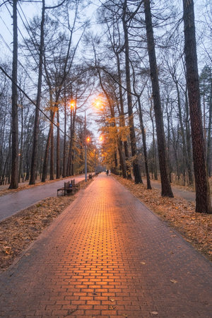 pavement in an evening park made of tiles in autumn in rainy weather with the light of lanterns reflected in itの写真素材