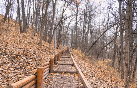 climbing a mountain made of wooden beams in late autumn with fallen leaves