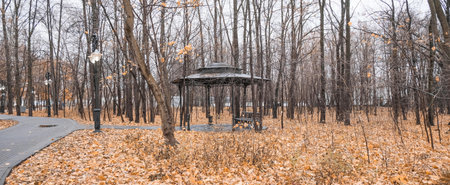 alcove in an autumn park with fallen yellow leaves in rainy weatherの写真素材