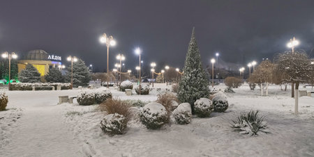 winter park with coniferous trees among lanterns at nightの写真素材