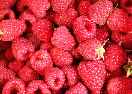 Berry raspberryの写真素材