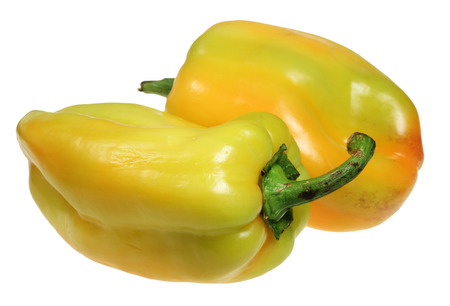 Two ripe pepper it is isolated on a white backgroundの写真素材