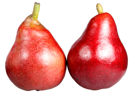 Red ripe pear it is isolated on a white backgroundの写真素材