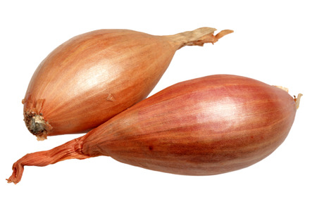 Onions in a peel it is isolated on a white backgroundの写真素材