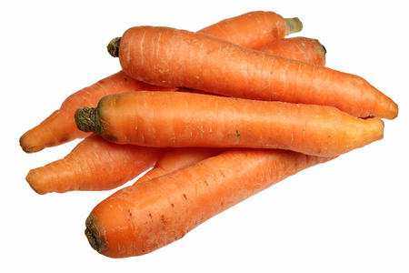 Crude carrots it is isolated on a white backgroundの写真素材