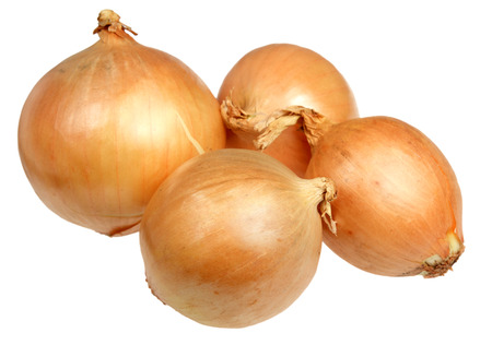 Onion it is isolated on a white background
の写真素材
