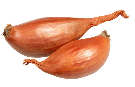 Onions in a peel it is isolated on a white backgroundの写真素材