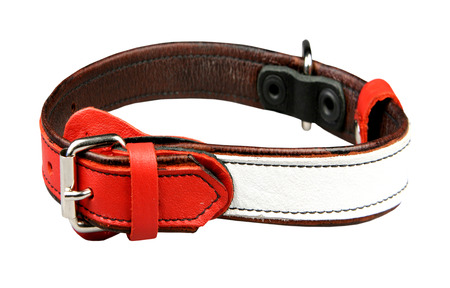 Collar leather for a dog it is isolated on a white backgroundの写真素材