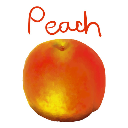 Painted peachのイラスト素材