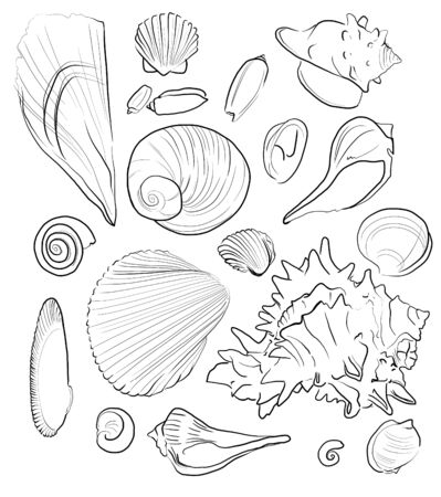 Black Hand Drawn Outlined Sea Shells Setの写真素材