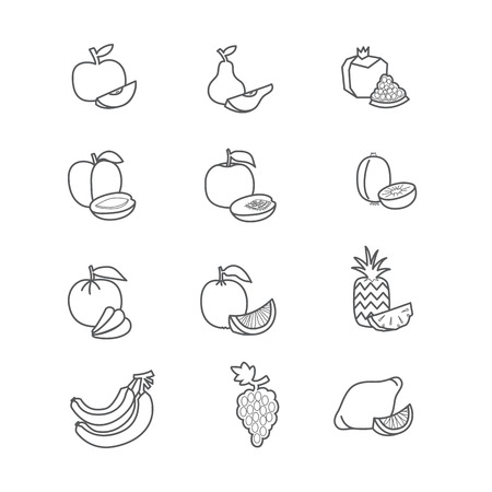Set of line icons of fruits on white background. Vector illustrationのイラスト素材