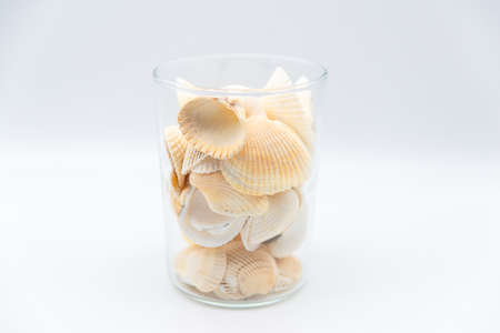 beautiful yellow shells in a clear glass. copy space for text. high quality photoの写真素材