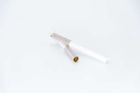 two cigarettes, cigars with tobacco on a white background. copy space for textの写真素材