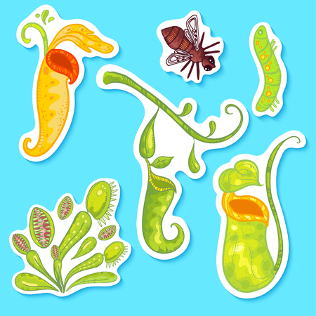 Vector  sticker floral set with green doodle carnivorous plants. Beautiful sticker flowers and plants on blue background. Sticker set with larva, sundew, carnivorous plants.のイラスト素材