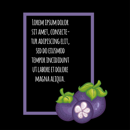 Vector illustration with Thai fruits. Illustration with text on black background. Juicy illustration. Summer illustration. Bright illustration with masngosteens. Masngosteen card.のイラスト素材