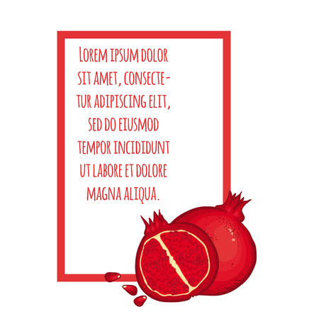 Vector illustration with Thai fruits. Illustration with text on white background. Juicy illustration. Summer illustration. Bright illustration with Pomegranates. Pomegranate card.のイラスト素材